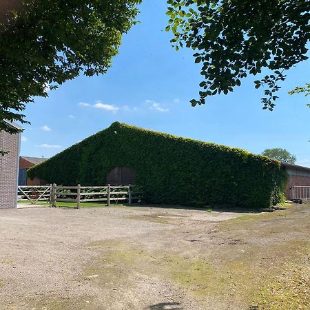 B&B De Vlierbeek Sint-Niklaas Exterior photo
